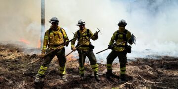 Nowe moduły GFFF wkrótce w gotowości