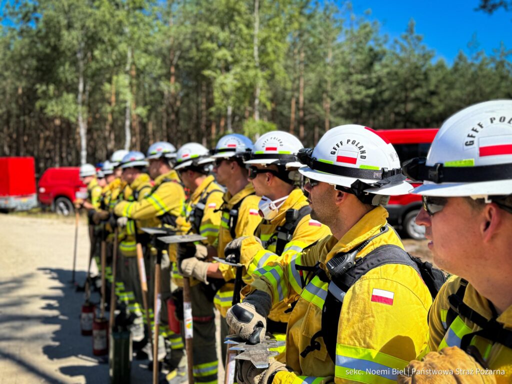 Nowe moduły GFFF niedługo w gotowości