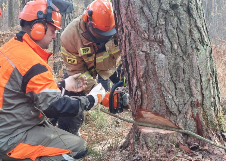 foto. SA PSP Kraków