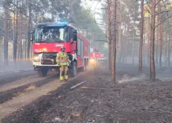 Duży pożar traw i lasu w Wielkopolsce. W akcji prawie 30 zastępów