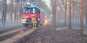 Duży pożar traw i lasu w Wielkopolsce. W akcji prawie 30 zastępów