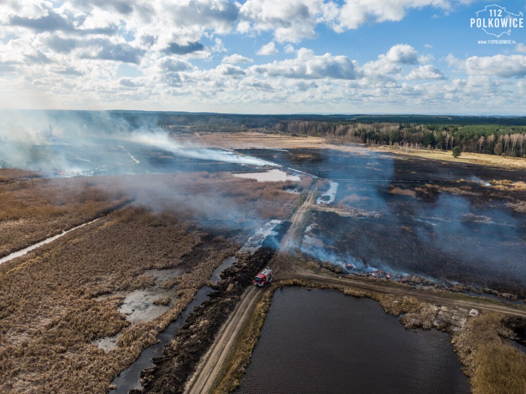 Rozległy pożar nieużytków w Chocianowie