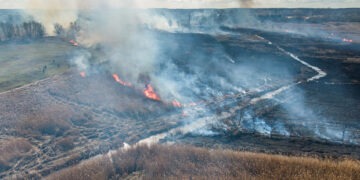 Rozległy pożar nieużytków w Chocianowie