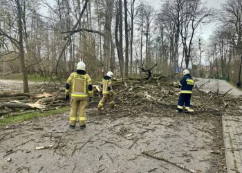Strażacy podsumowali Wielkanoc. ‘Intensywne działania’