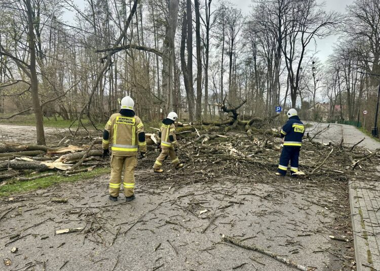 foto. OSP KSRG Zwierzyniec