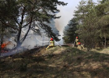 Służby ćwiczyły na poligonie wojskowym w Orzyszu