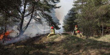 Służby ćwiczyły na poligonie wojskowym w Orzyszu