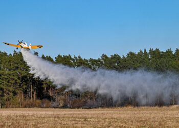 Strażacy i leśnicy ratowali las przed pożarem