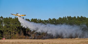 Strażacy i leśnicy ratowali las przed pożarem