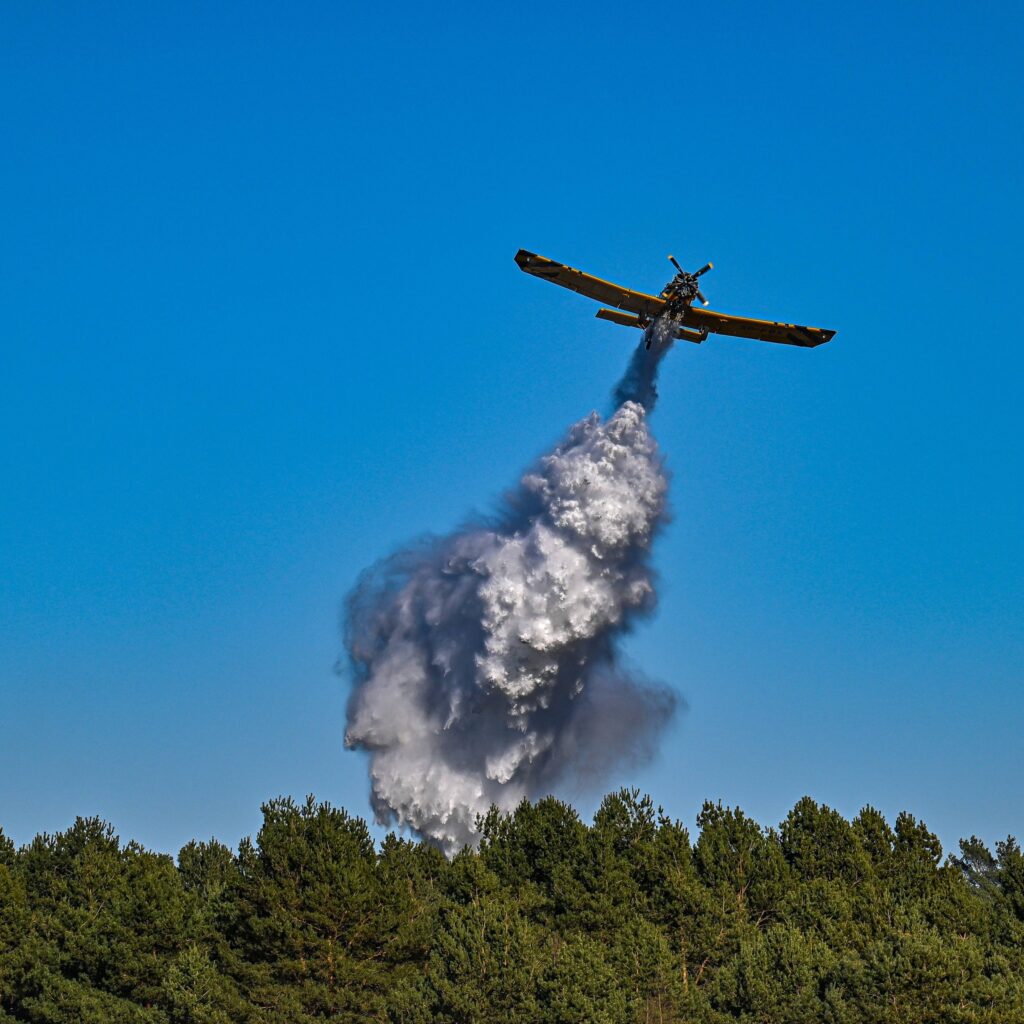 Strażacy i leśnicy ratowali las przed pożarem