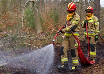 Międzynarodowe ćwiczenia ‘OGNISTE WZGÓRZE 2026’ w Nadleśnictwie Świebodzin