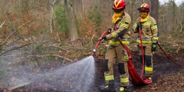 Międzynarodowe ćwiczenia ‘OGNISTE WZGÓRZE 2026’ w Nadleśnictwie Świebodzin