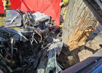 Śmiertelny wypadek na drodze wojewódzkiej nr 267