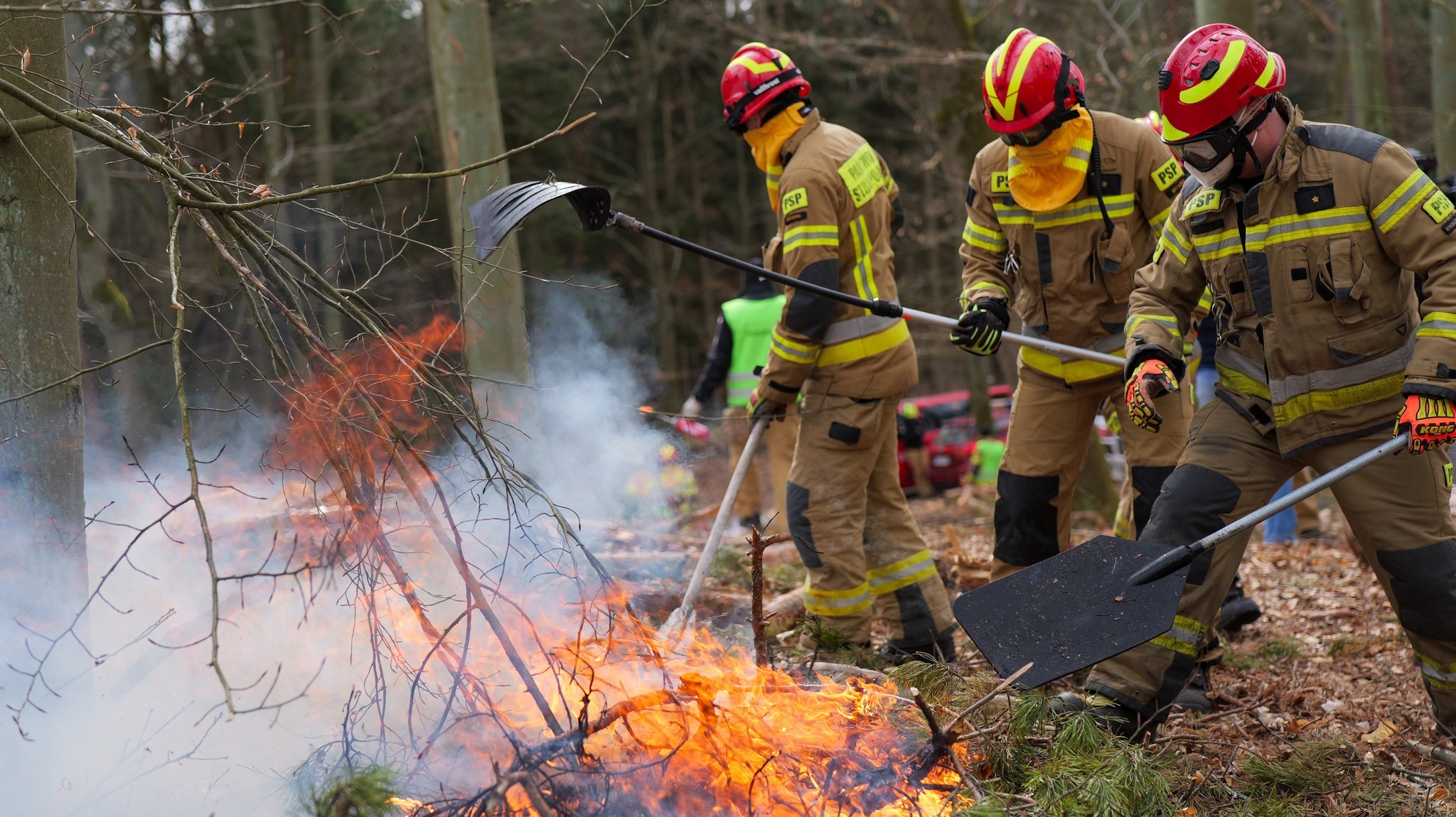 Międzynarodowe ćwiczenia ‘OGNISTE WZGÓRZE 2026’ w Nadleśnictwie Świebodzin