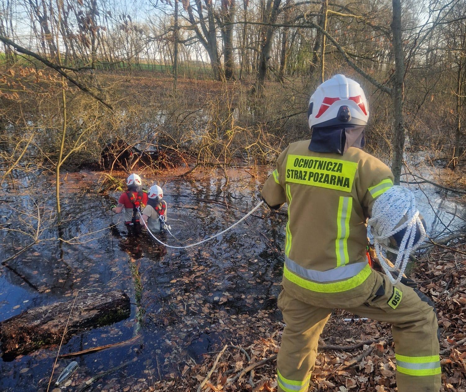 Strażacy z OSP Radowo Małe w ostatniej chwili uratowali psy
