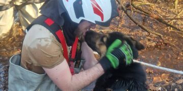 Strażacy z OSP Radowo Małe w ostatniej chwili uratowali psy