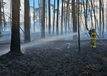 Pożar w Parku Narodowym Bory Tucholskie. W akcji strażacy i samoloty gaśnicze