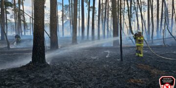 Pożar w Parku Narodowym Bory Tucholskie. W akcji strażacy i samoloty gaśnicze