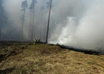 Duży pożar lasu w powiecie piskim. Sytuacja jest dynamiczna