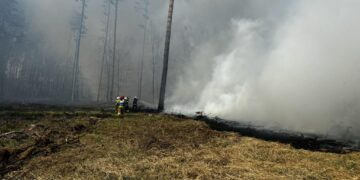 Duży pożar lasu w powiecie piskim. Sytuacja jest dynamiczna