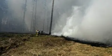 Duży pożar lasu w powiecie piskim. Sytuacja jest dynamiczna