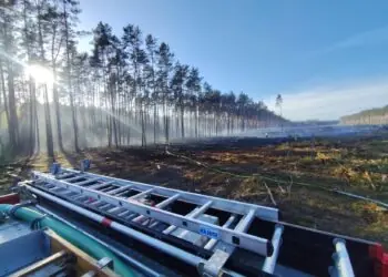 Pożar lasu w powiecie sztumskim. W akcji strażacy i Dromader