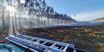Pożar lasu w powiecie sztumskim. W akcji strażacy i Dromader