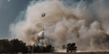 Holandia walczy z pożarami i prosi o pomoc kraje Unii Europejskiej