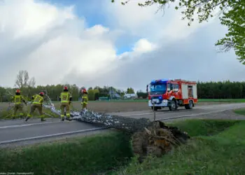 Silny wiatr nad Polską. Ponad dwa tysiące interwencji