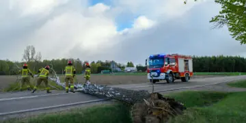 Silny wiatr nad Polską. Ponad dwa tysiące interwencji