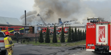 Pożar hali produkcyjnej w Dziardonicach. Trwa akcja strażaków