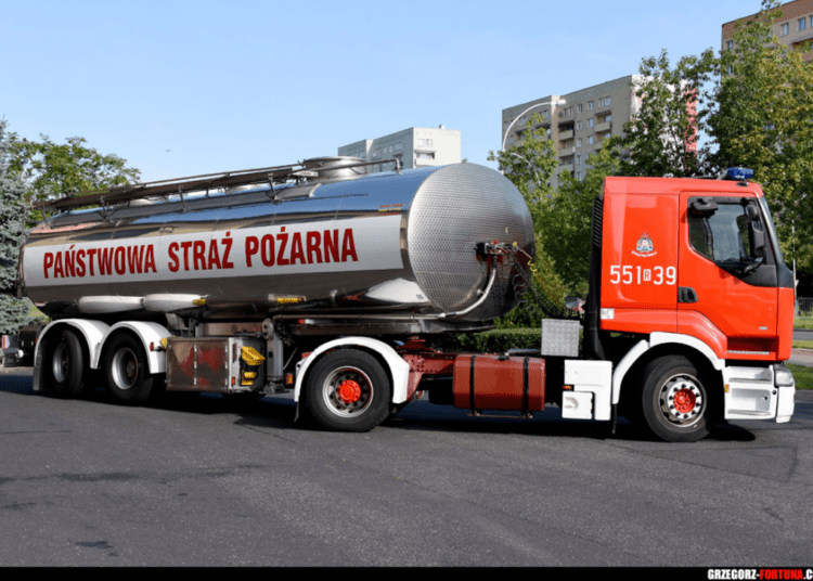 foto. Grzegorz Fortuna