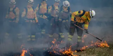 Ćwiczenia modułu GFFF RZESZÓW w powiecie leskim [FOTO]