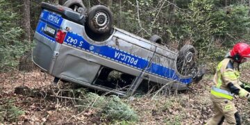 Sarna wybiegła na drogę. Radiowóz dachował