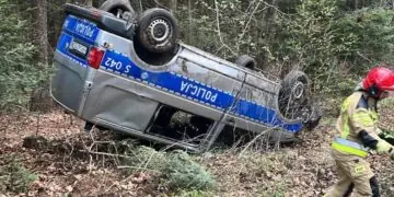 Sarna wybiegła na drogę. Radiowóz dachował