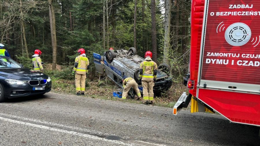 Sarna wybiegła na drogę. Radiowóz dachował