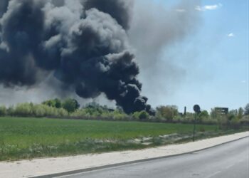 Pożar odpadów w Nowym Modlinie. Trwa akcja gaśnicza