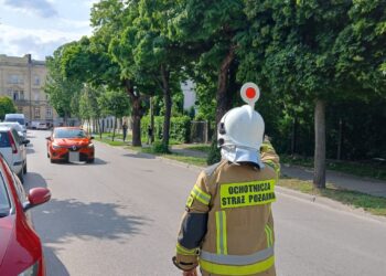Strażacy a kierowanie ruchem. Nowelizacja weszła w życie
