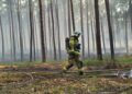 OSP po pożarze w Puszczy Solskiej zbierają na sprzęt