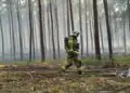 OSP po pożarze w Puszczy Solskiej zbierają na sprzęt