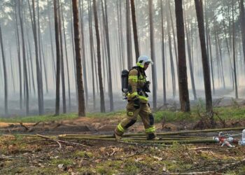 OSP po pożarze w Puszczy Solskiej zbierają na sprzęt