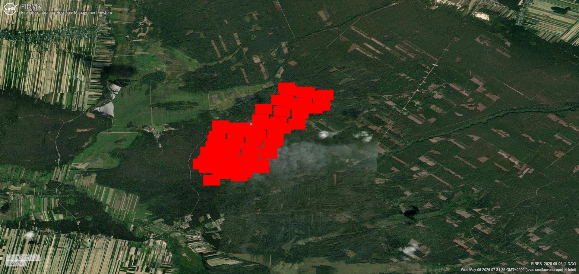 Tak wygląda pożar w Nadleśnictwie Józefów