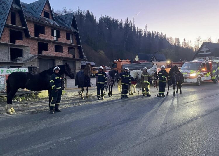 foto. OSP Małe Ciche
