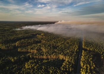 Małopolscy i podkarpaccy strażacy jadą na Lubelszczyznę