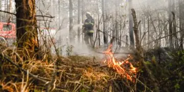 Pożar w Nadleśnictwie Józefów. Dwóch strażaków w szpitalu