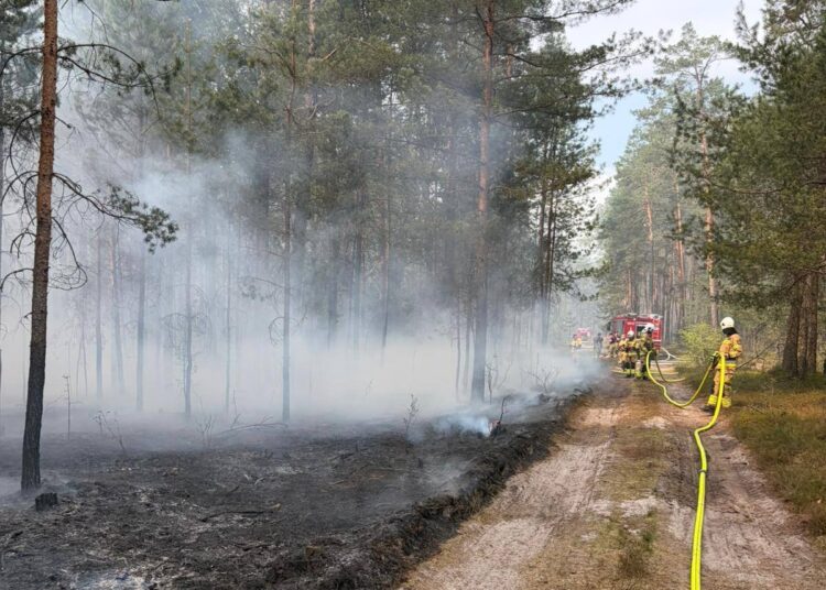 Foto. OSP KSRG Stojeszyn