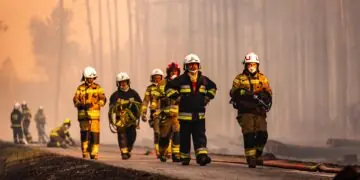 Setki hektarów w ogniu. Lasy Państwowe podały nowe dane
