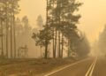 Nowe dane. Ponad tysiąc hektarów spłonęło w Puszczy Solskiej