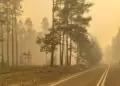 Nowe dane. Ponad tysiąc hektarów spłonęło w Puszczy Solskiej