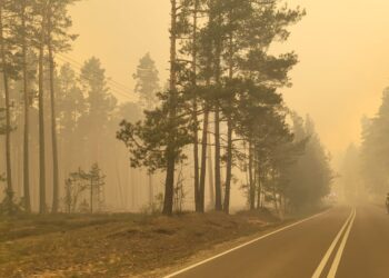 Nowe dane. Ponad tysiąc hektarów spłonęło w Puszczy Solskiej